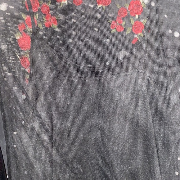 SHEER ROSE 🌹 DRESS - Picture 5 of 5